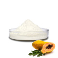 Food Grade White Powder Organic Papain Powder