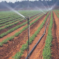 Aspersion d&#39;irrigation Irrigation d&#39;arrosage pour système d&#39;irrigation agricole