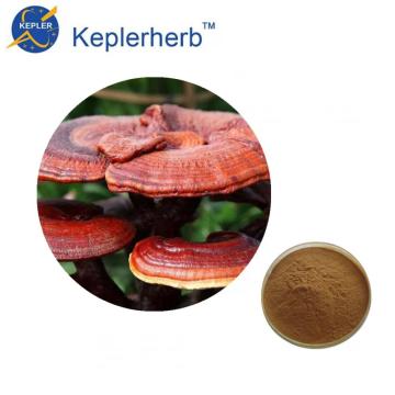 Чистый естественный улучшение иммунитета Reishi Mushroom Extract