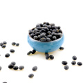 New design big black bean Competitive prices