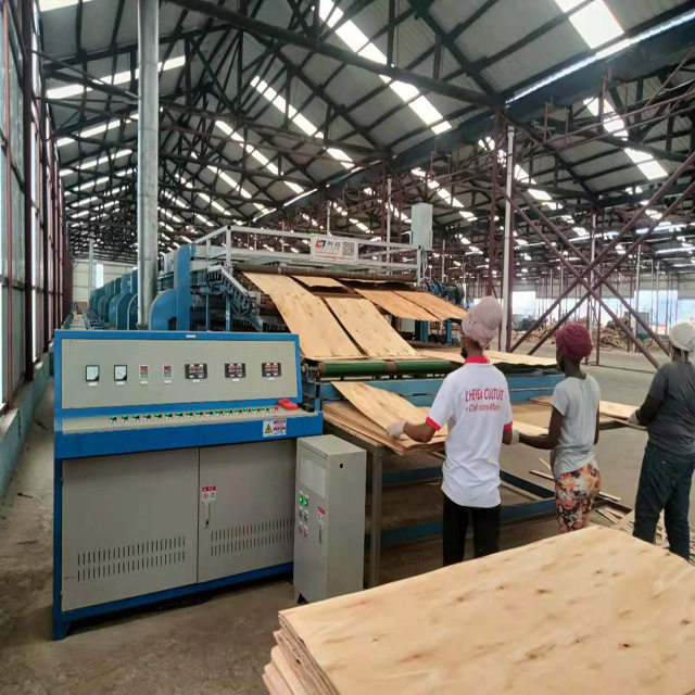 Plywood Veneer Dryers