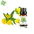 The best beauty care evening primrose oil