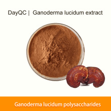 Ganoderma lucidum polysaccharides matières premières en vrac