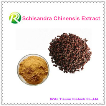 Extrait de plante 100% naturel de haute qualité Schisandra Chinensis Powder