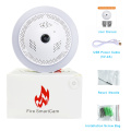 Fire Smoke/Dangerous Gas Alarm Wireless WiFi IP Camera