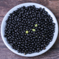 Wholesale Green Food Black Kidney Beans High Quality