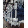 Cast/Forged Bellows Sealing Gate Valve Wzh