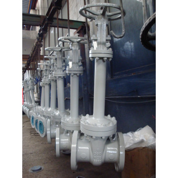 Cast/Forged Bellows Sealing Gate Valve Wzh