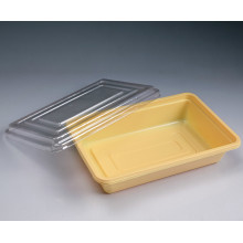 Plástico descartável Take Away Lunch Box