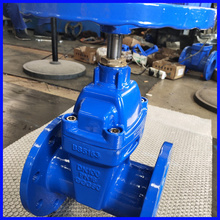 DN25-DN300 Soft seal gate valve