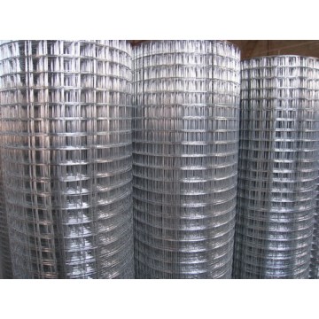 China Manufacture of Welded Wire Mesh