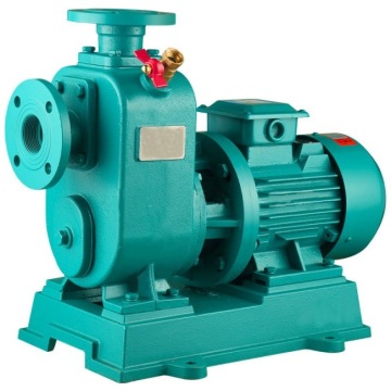 Pompe centrifuge industrielle horizontale pour l&#39;alimentation en eau