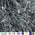 Wholesale umbrella head galvanized roofing nail