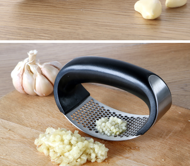 Stainless Steel Garlic Press