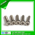 Hex Socket Head Cap Screw Vis pointu