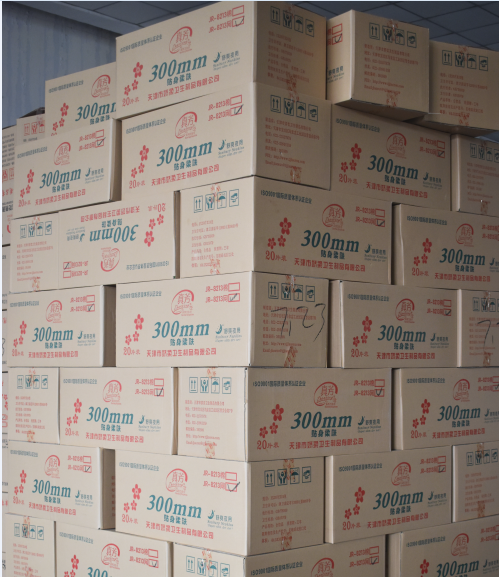 carton pack sanitary napkins