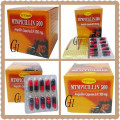 Antibiotics Ampicillin Capsules