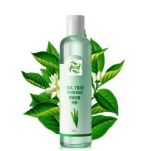 Organic Tea Tree Hydrosol at a bulk price