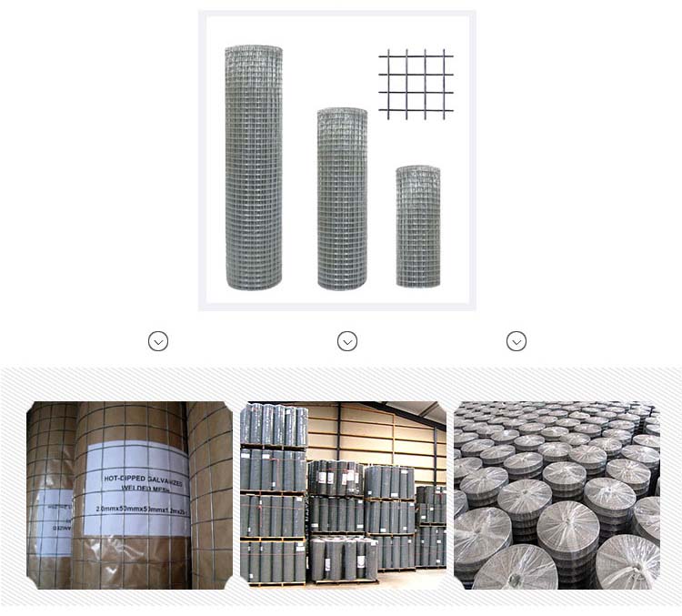 1/4 Inch Welded Wire Mesh