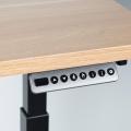 Electric Adjustable Standing Computer Furniture Desk