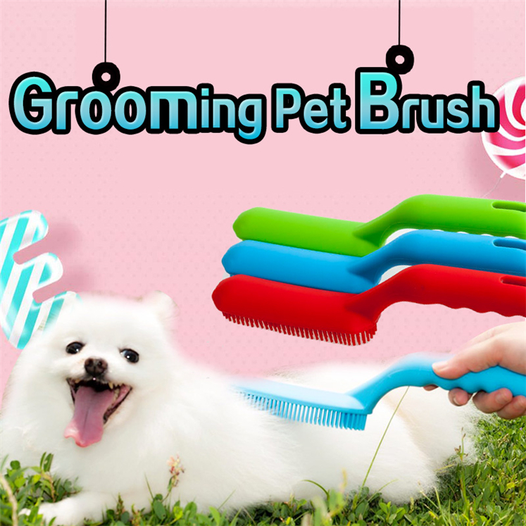 pet brush (2)