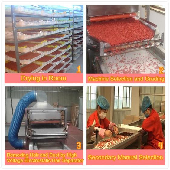 Goji berry drying, processing, selction