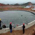 0.5-2mm PVC Material Geomembrane for Landfill Project