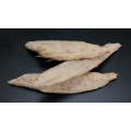 Frozen Pre-cooked Skipjack Tuna Loin