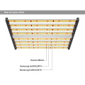 Spectrum King Dimmable Led Lights 640W