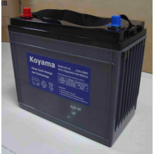 12V 110ah Deep Cycle Gel Battery pour Marine