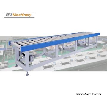 Angetriebenes Rollenfördersystem