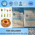 Fish collagen protein