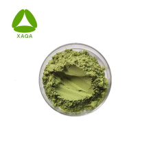 Suplemento Superfood Green Blend Powder