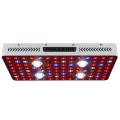 2000w Cob Full Spectrum LED élèvent la lumière