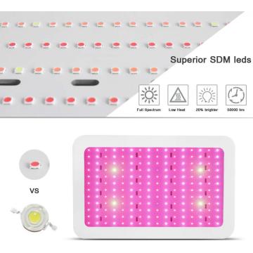 El led crece ligero para planta