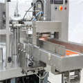 Автоматический упаковочный аппарат для сыпучих упаковок для сыпучих продуктов (RZ6 / 8-200 / 300A)