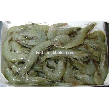 HL002 hot sale bqf frozen vannamei shrimp