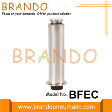 BFEC DMF-Z-62S Repair Kit Pulse Valve Armature Plunger