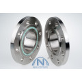 Stainless Steel Forged DIN Flange