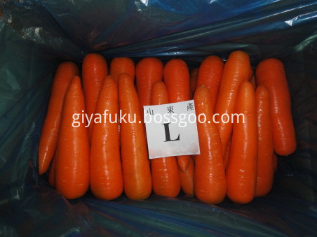 Fresh carrot