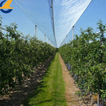 Tamaño de malla 50 para mosquitera