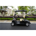 2 seats ezgo golf carts