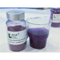 Non-GMO purple potato powder