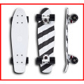 Skateboard Penny Style Plastic Cruiser (VS-SKB-12)