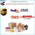 Empresa de transporte Paket International Courier Express pacote de serviço da China para todo o mundo