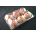 Transparent Plastic Clamshell Fruit Trays For 6000 G