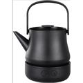 Multi-functional electric tea kettle