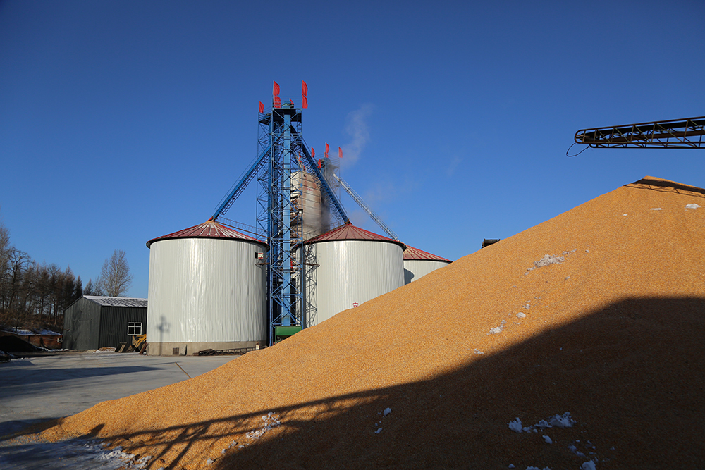 Energy Saving Soybean Dryer