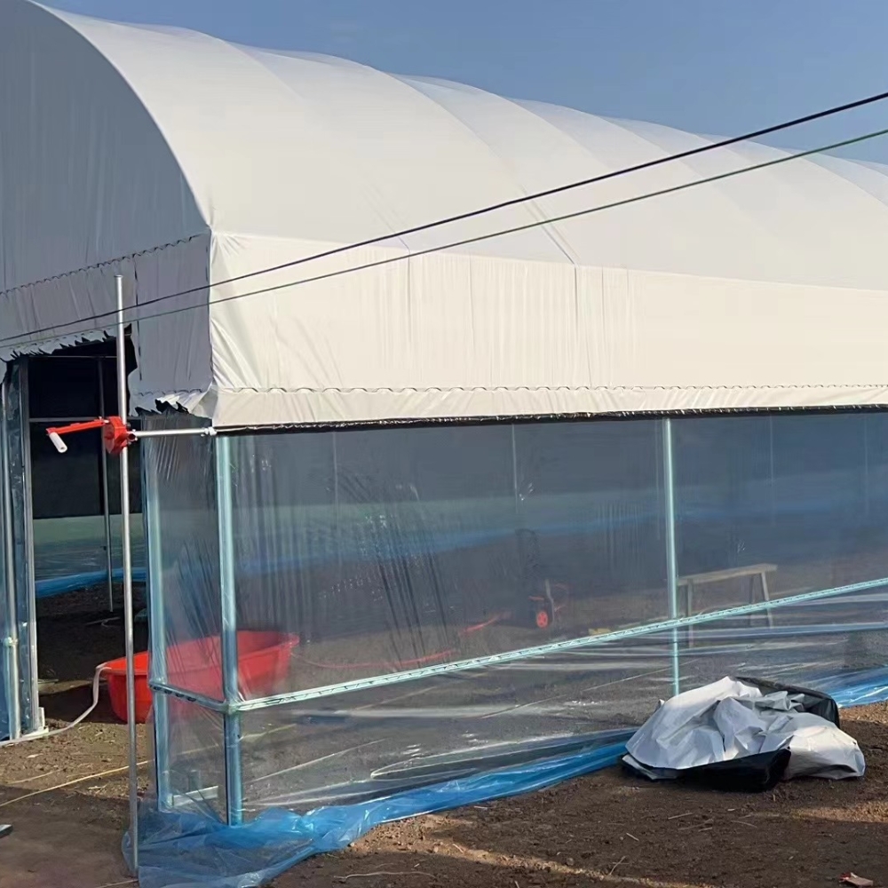 Single Greenhouse For Poultry Breeding Single Greenhouse For Poultry Breeding