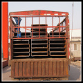 Thickness Wall Welded Square Steel Pipes